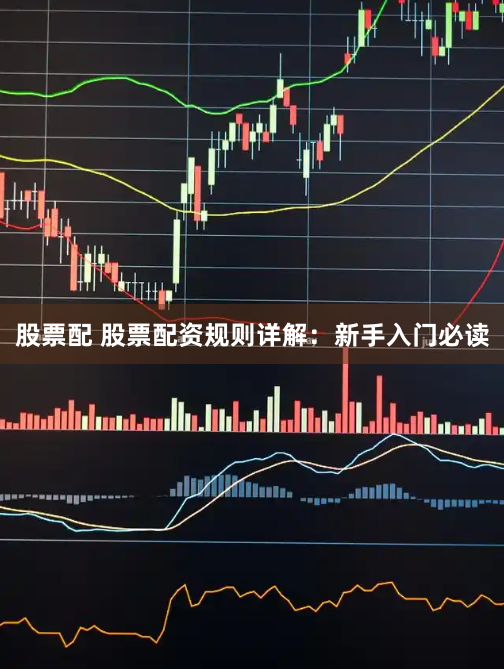 股票配 股票配资规则详解：新手入门必读